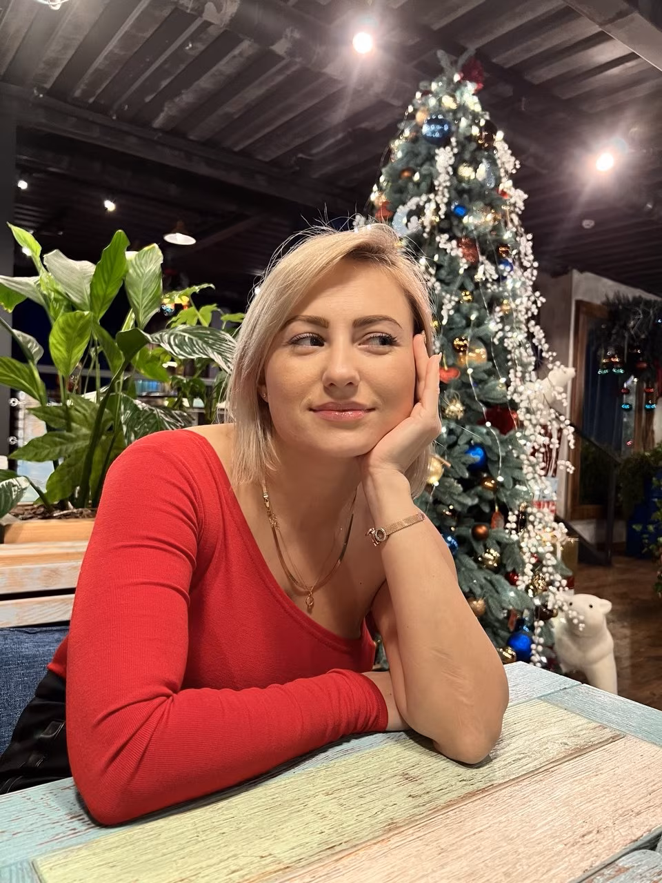Lina 40 Kyiv   Ukraine I am looking for an honest single man on Russian bikini brides
